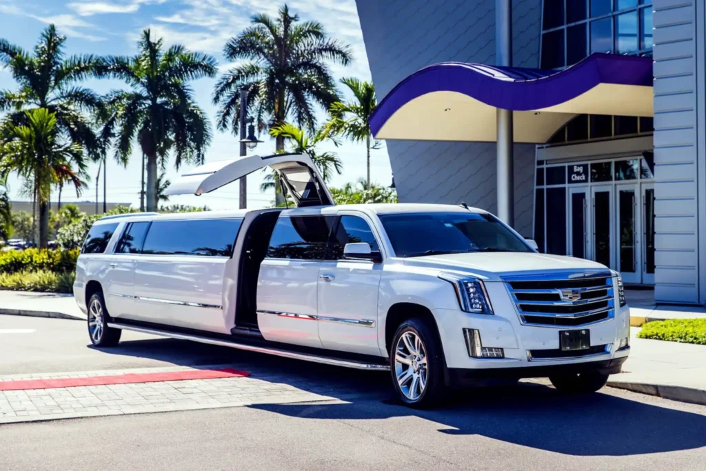 Professional Chauffeur Services